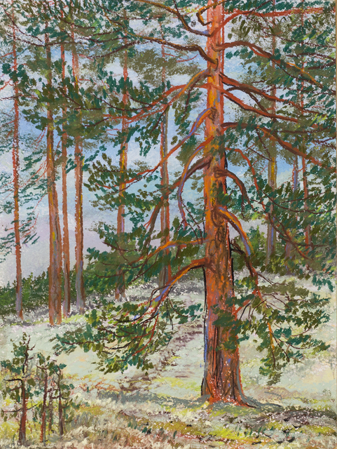 Irina Maiboroda  'Large Pine', created in 2016, Original Woodworking.