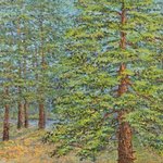 Large Pine and Forest By Irina Maiboroda