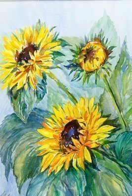 Irina Maiboroda: 'Sunflowers', 2012 Watercolor, Floral. Artist Description:   watercolor, seasons, flowers, sunflowers, summer, countryside, nature, plein- air.The work is under a passe- partout 50x40 cm.          ...