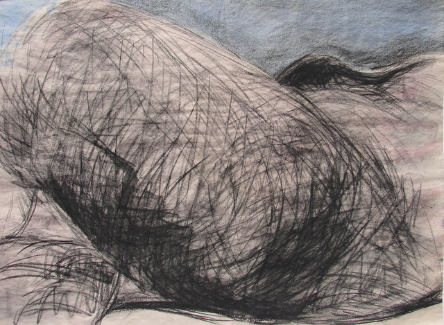 Tamara Sorkin  'Nude Landscape 1', created in 2008, Original Drawing Other.