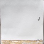 the lone bird By Tamara Sorkin