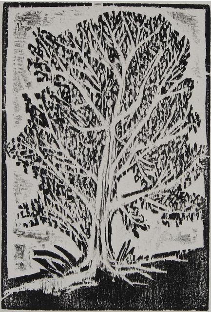 Artist Tamara Sorkin. 'Young Olive Tree' Artwork Image, Created in 2007, Original Drawing Other. #art #artist