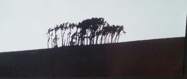 Artist Bengt Stenstrom. 'Trees On A Hill' Artwork Image, Created in 2008, Original Photography Other. #art #artist