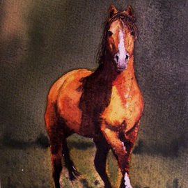 proud stallion By Ivan Grozdanovski