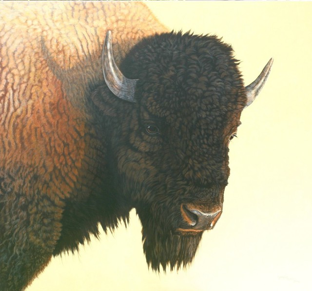 Jacquie Vaux  'Big Buffalo', created in 2008, Original Painting Acrylic.