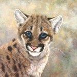 Cougar Cub, Jacquie Vaux