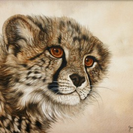 Cute Little Cheetah Cub, Jacquie Vaux