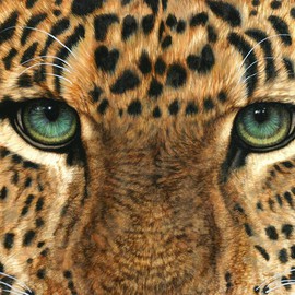 Jacquie Vaux: 'Eyes of Leopard', 2002 Acrylic Painting, Animals. Artist Description:  A close up detailed painting of a leopards eyes. Very fine brushwork and vivid colors. This painting will soon be published as a limited edition giclee print. ...