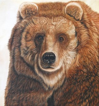 Jacquie Vaux: 'Old Grizz   Male Grizzly Bear', 2013 Other Painting, Animals.  This old Grizzly Bear is just lookin'around for some food. Grizzly Bears just love to eat. . . LOTS! ...
