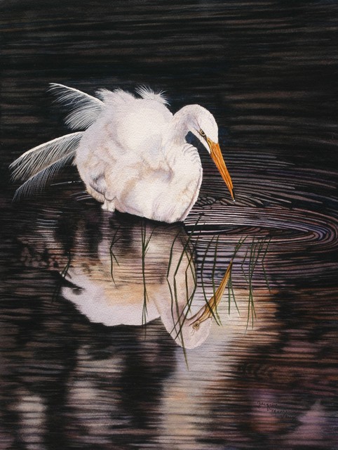 Jacquie Vaux  'Twilight Interlude   A Snowy Egret', created in 2013, Original Painting Acrylic.