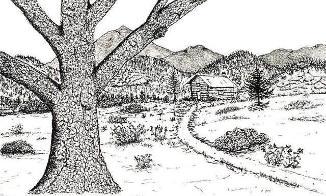 James Parker  'Big Oak And Cabin', created in 2002, Original Drawing Pen.