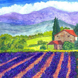 Lavender Fields By James Parker