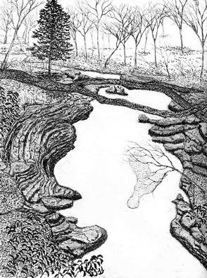 James Parker: 'NC Small Gorge', 2002 Pen Drawing, Landscape. Stream at the botton of a small gorge is the subject of this North Carolina  pen and ink scene....