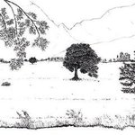 Tree Meadow, James Parker