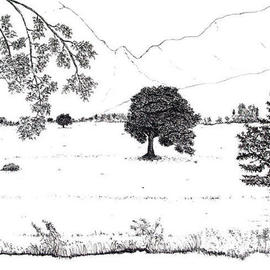 Tree Meadow, James Parker