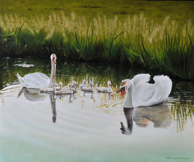 Jan Teunissen  'Swan Family', created in 2010, Original Painting Oil.