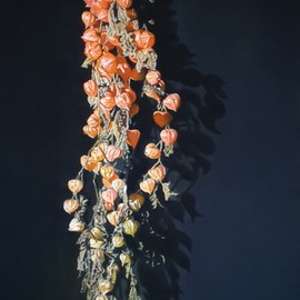 Jan Teunissen: 'chinese lantern plant', 2020 Oil Painting, Floral. Artist Description: Chinese lantern plant  Physalis ...