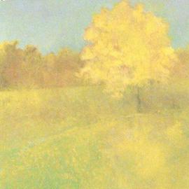 Jennifer Coleman Bryant-wieber: 'yellow without white', 2004 Oil Painting, Landscape. Artist Description: Study in a high color key creating intense color without the use of white. Subject found in Columbus, Ohio. ...