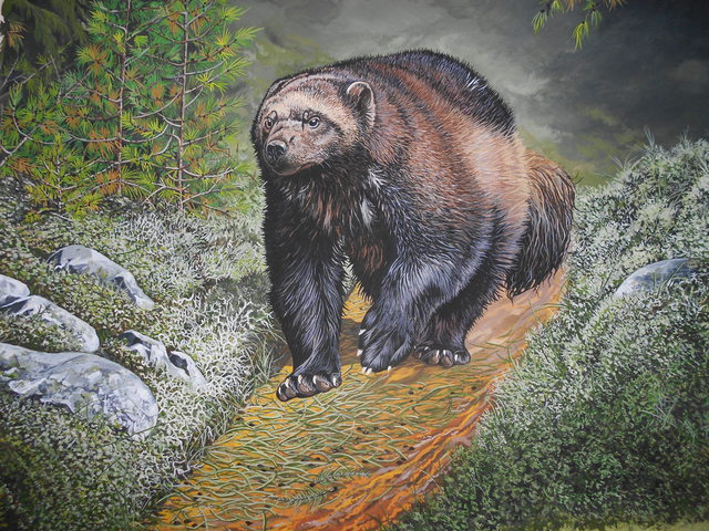 Jeff Cain  'Russian Wolverine', created in 2015, Original Painting Other.