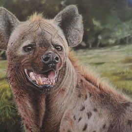 Jeff Cain: 'Spotted hyena ', 2020 Acrylic Painting, Animals. Artist Description: Acrylic painting.  Commissions welcome...
