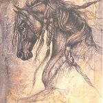 Rennaissance horse By Jeffrey Foster Thomas