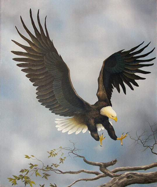 Artist Jerry Sauls. 'American Bald Eagle' Artwork Image, Created in 2006, Original Painting Oil. #art #artist