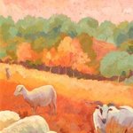 Shepherds Delight By Jessica Dunn