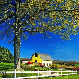 American Country Barn By Thomas Jewusiak