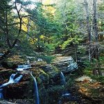 Catskill Falls By Thomas Jewusiak