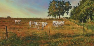 John Gamache: 'You do know we are being watched', 2016 Oil Painting, Landscape. Oil on Linen 12 x 24 - Cattle pasture in FR - late sunny afternoon...