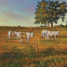 John Gamache: 'You do know we are being watched', 2016 Oil Painting, Landscape. Artist Description: Oil on Linen 12 x 24 - Cattle pasture in FR - late sunny afternoon...