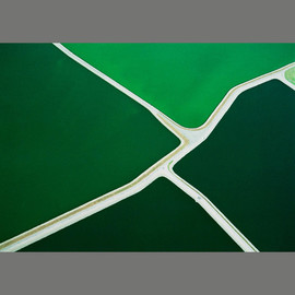 John Griebsch: 'five green ponds 072', 2008 Color Photograph, Landscape. Artist Description: Aerial Photograph    Archival print number 4 of an edition of 25    ...