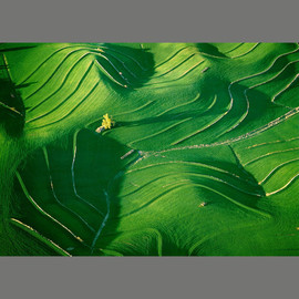 John Griebsch: 'undulating nebraska 004', 2005 Color Photograph, Landscape. Artist Description:  Aerial Photograph Archival Print       edition 10 of 25...