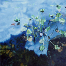 Lily Pond with Beer Can By James Gwynne