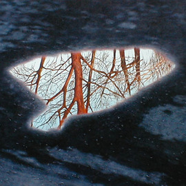James Gwynne: 'Parking Lot Puddle', 1998 Oil Painting, Landscape. Artist Description: A puddle in a parking lot reflects the image of trees and sky....