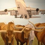 Herding Longhorns By Jim Lively