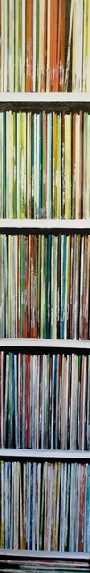 Jim Lively  'Record Album Collection', created in 2012, Original Photography Color.
