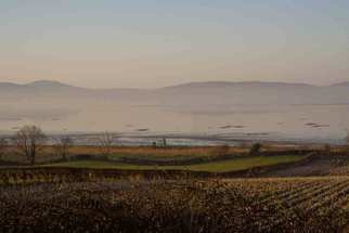 Joan Shannon: 'Misty Lough Foyle', 2011 Color Photograph, Abstract Landscape.  Lough, Foyle, Mist, haze, potato, potatoes, field, mountain, ireland ...
