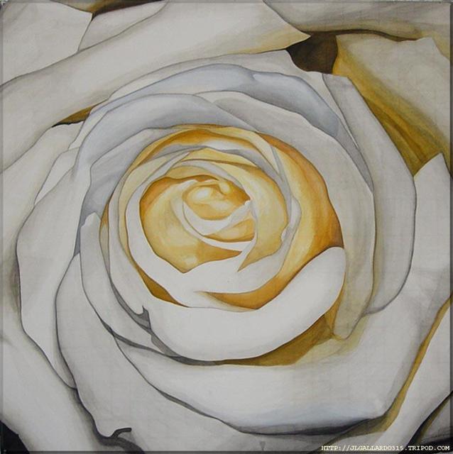 Artist Jorge Gallardo. 'White And Yellow Rose' Artwork Image, Created in 2002, Original Watercolor. #art #artist