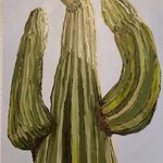 saguaro cactus By Jo Allebach