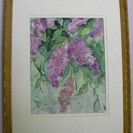 Lilacs in Bloom By Joanna Batherson
