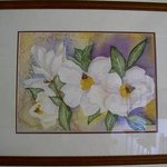 Magnolias By Joanna Batherson