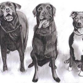 Jodie Hammonds: '3 doggies', 2012 Pencil Drawing, Portrait. Artist Description:  3 doggies             ...