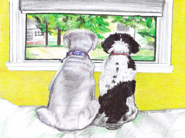 Artist Jodie Hammonds. 'Dog View' Artwork Image, Created in 2017, Original Drawing Charcoal. #art #artist