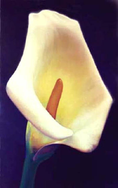Artist Anni Adkins. 'Calla Lily' Artwork Image, Created in 2002, Original Painting Oil. #art #artist