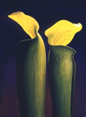 Anni Adkins: 'Two Jacks', 2006 Oil Painting, Floral.  jack in the pulpet, oil painting, flower painting, floral paintings, paintings of jack in the pulpets, Anni Adkins ...