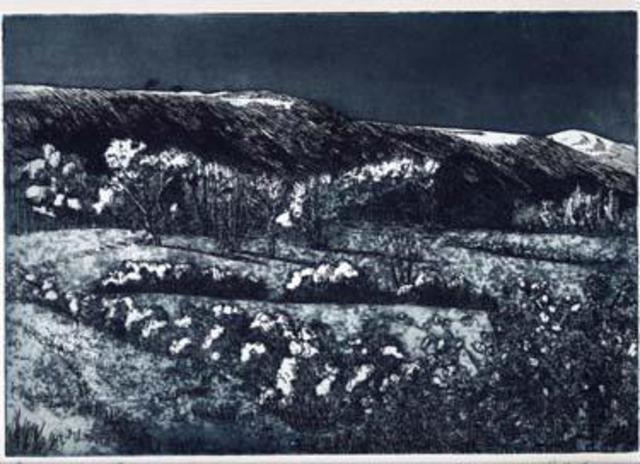 John Booth  'The Downs From Fulking', created in 2015, Original Printmaking Etching.