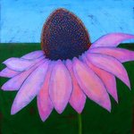 Cone Flower By John Cielukowski