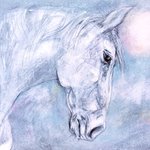 dawn horse By John Sharp