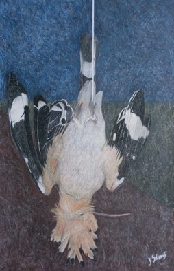 John Sims: 'hoopoe nature morte', 2013 Crayon Drawing, Birds. As an illustrator I frequently used colour pencils  crayons  in 2012 13 I started to use them again to draw birds, dead and alive. These nature morte drawings were inspired by 17 century Spanish painters...